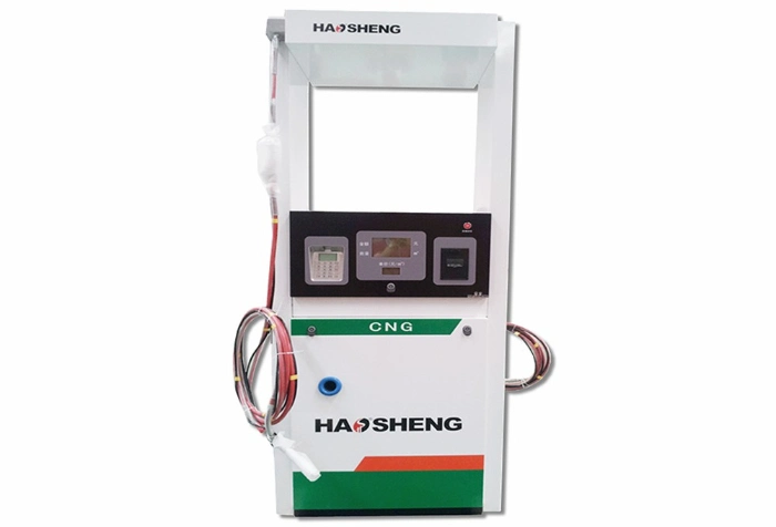 Normal ISO9001: 2000 Approved Haosheng in Wooden Case Submersible Pump Safety CNG Dispenser